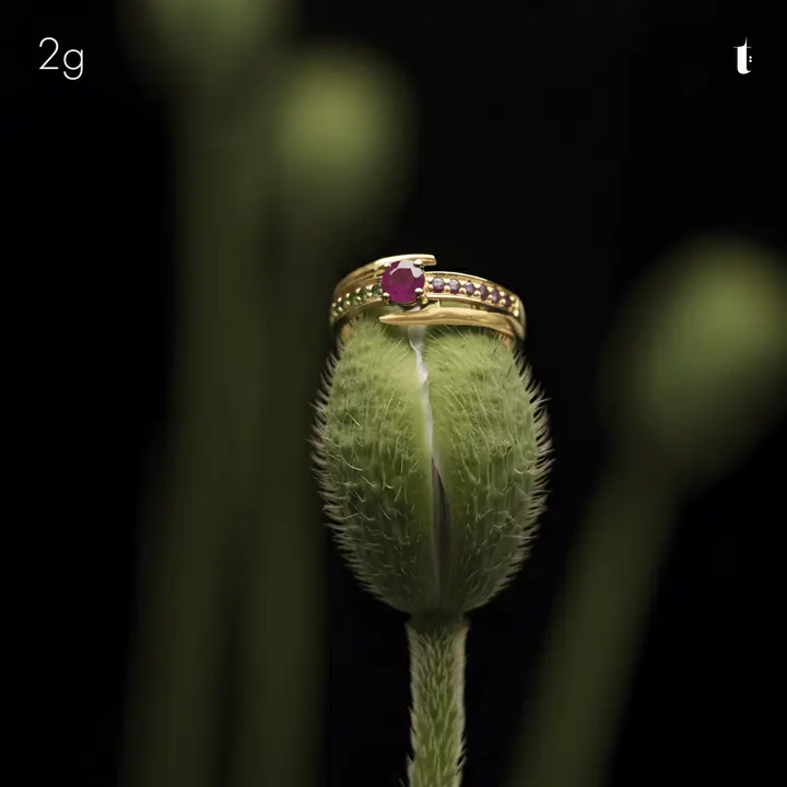 Yellow Gold Ring with Ruby design 279 by TAHERI